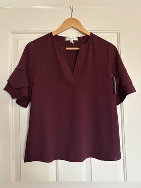 Frame Women’s V neck Blouse Maroon Top✨NWOT Sz XS/S